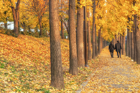 Heerlijke Herfst