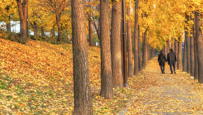 Lovely Autumn