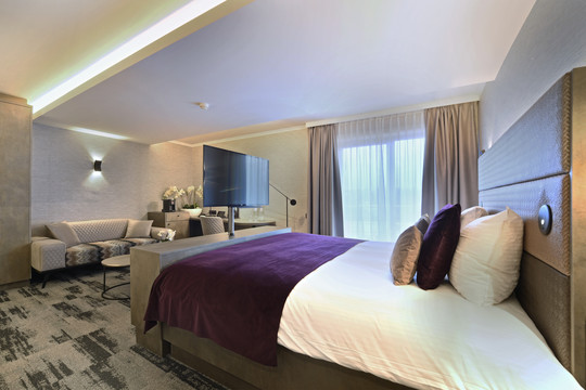 Suite Executive